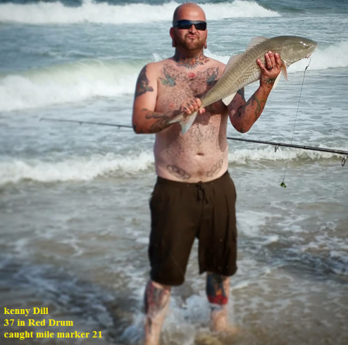 TW’s Bait & Tackle, TW's Daily Fishing Report. 8/26/15