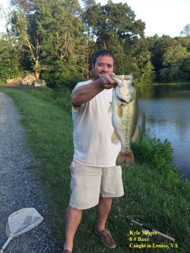 TW’s Bait & Tackle, TW's Daily Fishing Report. 6/7/15