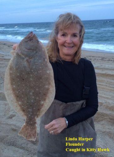 TW’s Bait & Tackle, TW's Daily Fishing Report. 11/18/15