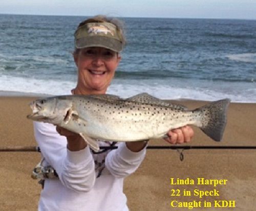 TW’s Bait & Tackle, TW's Daily Fishing Report. 11,1/15