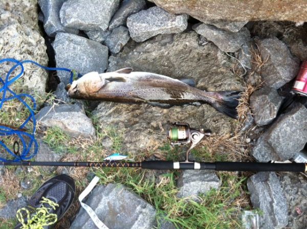 TW’s Bait & Tackle, TW's Daily Fishing Report. 12/16/15