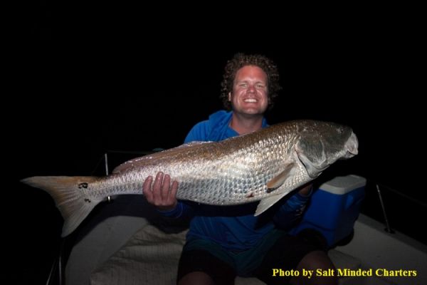 TW’s Bait & Tackle, TW's Daily Fishing Report. 9/22/15
