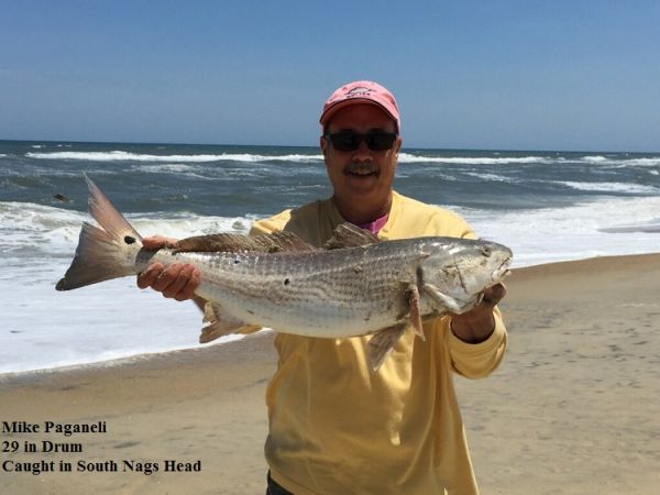 TW’s Bait & Tackle, TW's Daily Fishing Report. 5/15/15