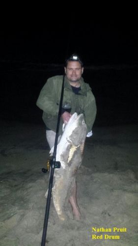 TW’s Bait & Tackle, TW's Daily fishing Report. 4/10/15