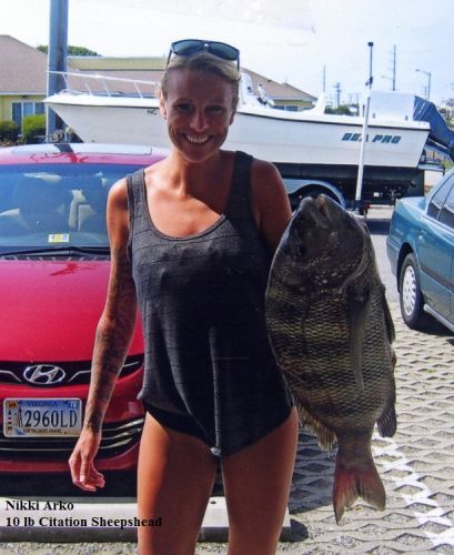 TW’s Bait & Tackle, TW's Daily fishing Report. 7/7/15