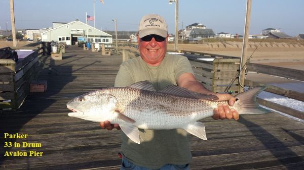 TW’s Bait & Tackle, TW's Daily Fishing Report. 5/11/15