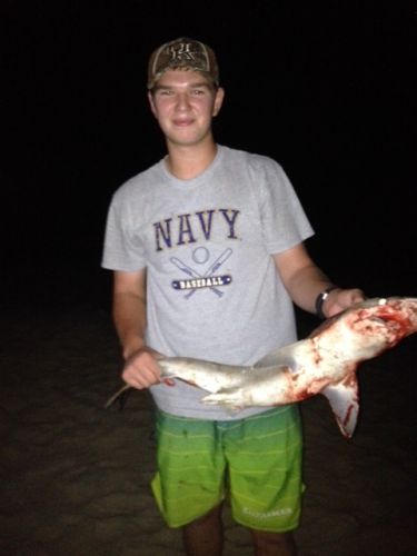 TW’s Bait & Tackle, TW's Daily Fishing Report. 8/17/15