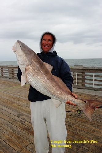TW’s Bait & Tackle, TW's Daily Fishing Report. 11/9/15