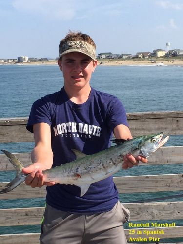 TW’s Bait & Tackle, TW's Daily Fishing Report. 6/16/15