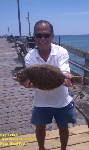 TW’s Bait & Tackle, TW's Daily Fishing Report. 6/20/15