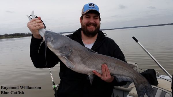 TW’s Bait & Tackle, TW's Daily Fishing Report. 4/3/15
