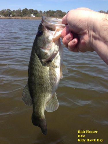 TW’s Bait & Tackle, TW's Daily Fishing Report. 4/13/15