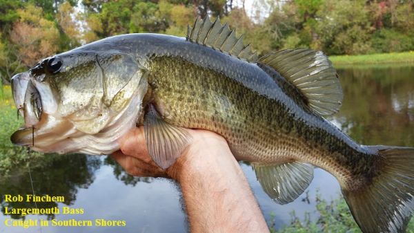 TW’s Bait & Tackle, TW's Daily Fishing Report. 10/30/15