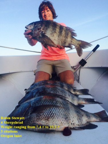 TW’s Bait & Tackle, TW's Daily fishing Report. 6/11/15