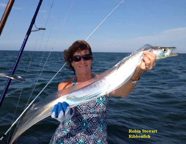 TW’s Bait & Tackle, TW's Daily fishing Report. 8/5/15