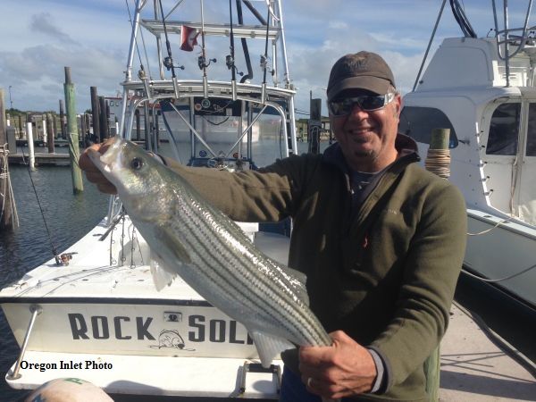 TW’s Bait & Tackle, TW's Daily fishing Report. 10/7/15