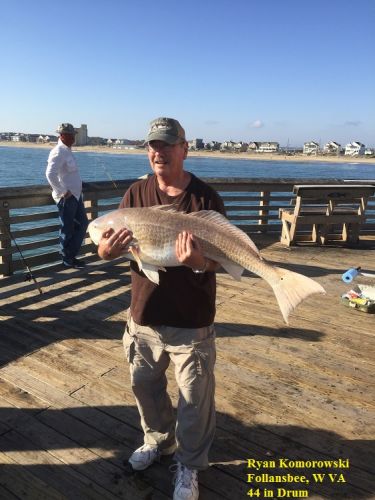 TW’s Bait & Tackle, TW's Daily fgishing Report. 10/15/15