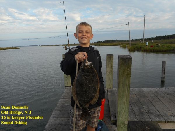 TW’s Bait & Tackle, TW's DFaily fishing Report. 8/29/15