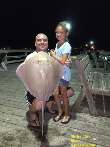 TW’s Bait & Tackle, TW's Daily Fishing Report. 8/20/15