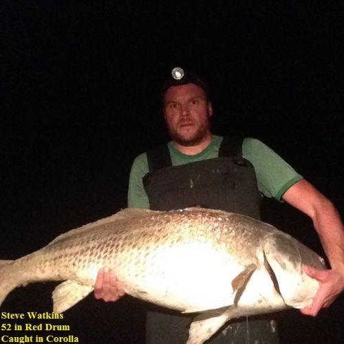 TW’s Bait & Tackle, TW's Daily fishing Report. 10/25/15