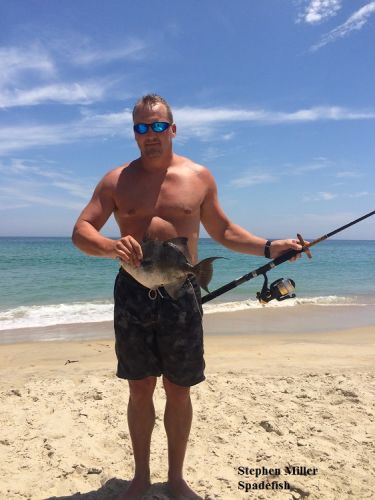 TW’s Bait & Tackle, TW's Daily Fishing Report. 6/24/15
