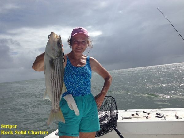 TW’s Bait & Tackle, TW's Daily Fishing Report. 9/30/15