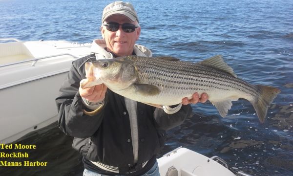 TW’s Bait & Tackle, TW's Daily fishing Report. 11/23/15