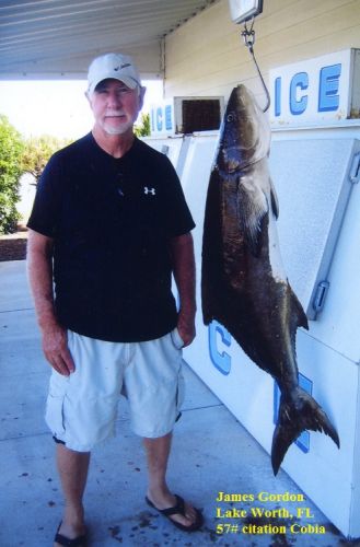 TW’s Bait & Tackle, TW's Daily Fishing Report. 5/31/15