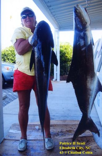 TW’s Bait & Tackle, TW's Daily Fishing Report. 6/4/15