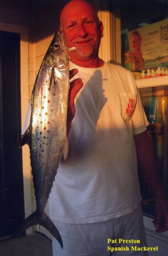 TW’s Bait & Tackle, TW's Daily fishing Report. 6/12/15