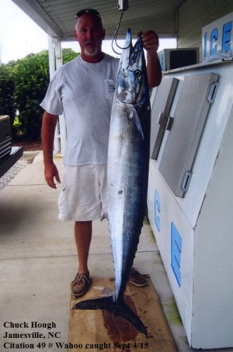 TW’s Bait & Tackle, TW's Daily Fishing Report. 9/26/15