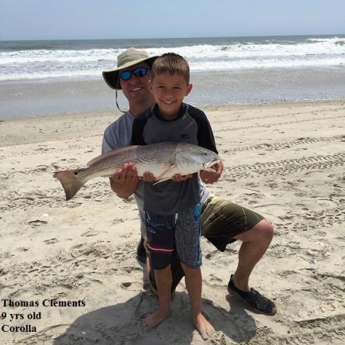 TW’s Bait & Tackle, TW's Dail fishing Report. 6/10/15
