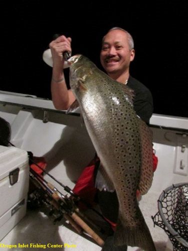 TW’s Bait & Tackle, TW's Daily fishing Report. 3 /1/15/