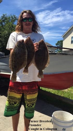 TW’s Bait & Tackle, TW's Daily Fishing Report. 8/19/15