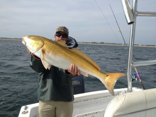TW’s Bait & Tackle, TW's Daily Fishing Report- 03/19/2015