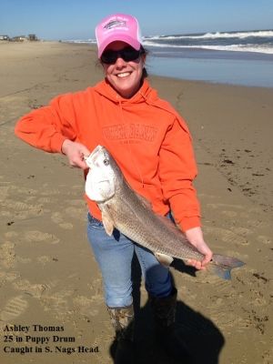 TW’s Bait & Tackle, TW’s Daily fishing Report. 11/4/14