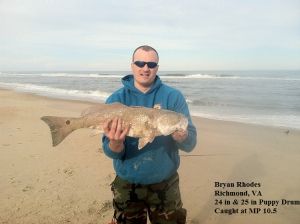 TW’s Bait & Tackle, TW’s Daily fishing Report. 11/9/14