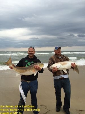TW’s Bait & Tackle, TW’s Daily Fishing Report. 11/1/14