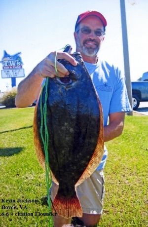 TW’s Bait & Tackle, TW’s Daily fishing Report. 10/11/14