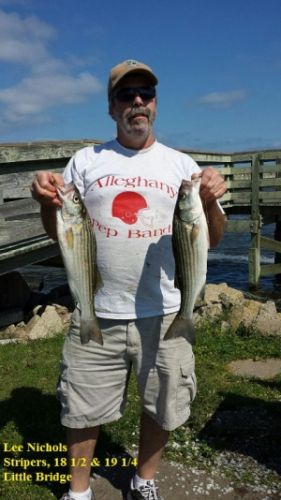 TW’s Bait & Tackle, TW’s Daily fishing Report. 10/8/14