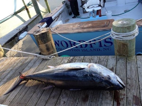 TW’s Bait & Tackle, TW's Daily fishing Report. 12/28/14