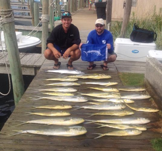 Albatross Fleet, White Marlin!