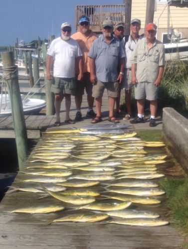 Albatross Fleet, real summer fishing day