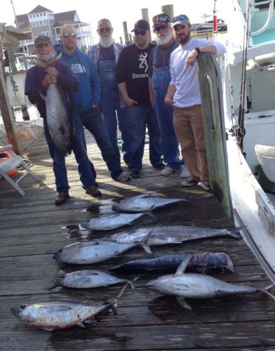 Albatross Fleet, Quality Fish