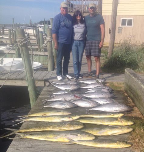 Albatross Fleet, outstanding kitefishing