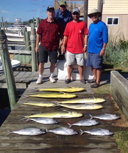 Albatross Fleet, dolphin and blackfins