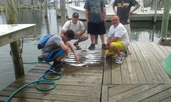 Albatross Fleet, family 1/2 fun