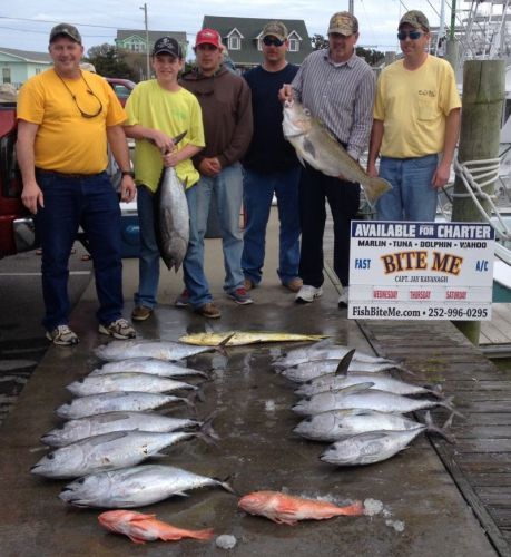 Bite Me Sportfishing Charters, Blackfins, golden tilefish!