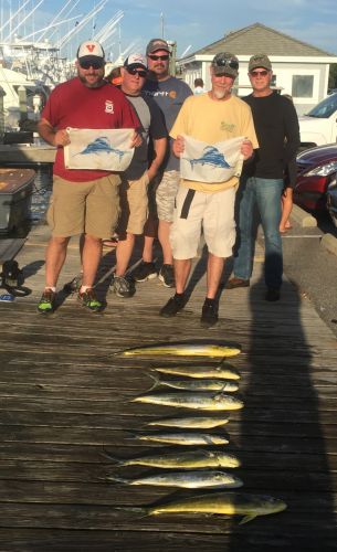 Bite Me Sportfishing Charters, Sailfish and Mahi!