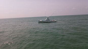 Tuna Duck Sportfishing, Near Shore Today